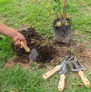 JUEGO DE 4 HERRAMIENTAS, MANGOS DE 6" PARA JARDÍN, TRUPER 15030 	P